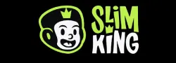 GT Spins logo